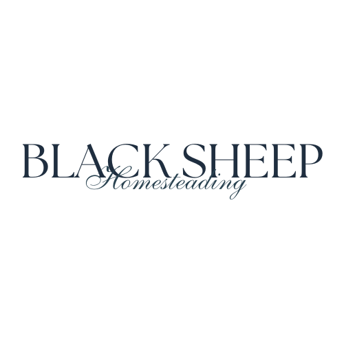 Black Sheep Homesteading