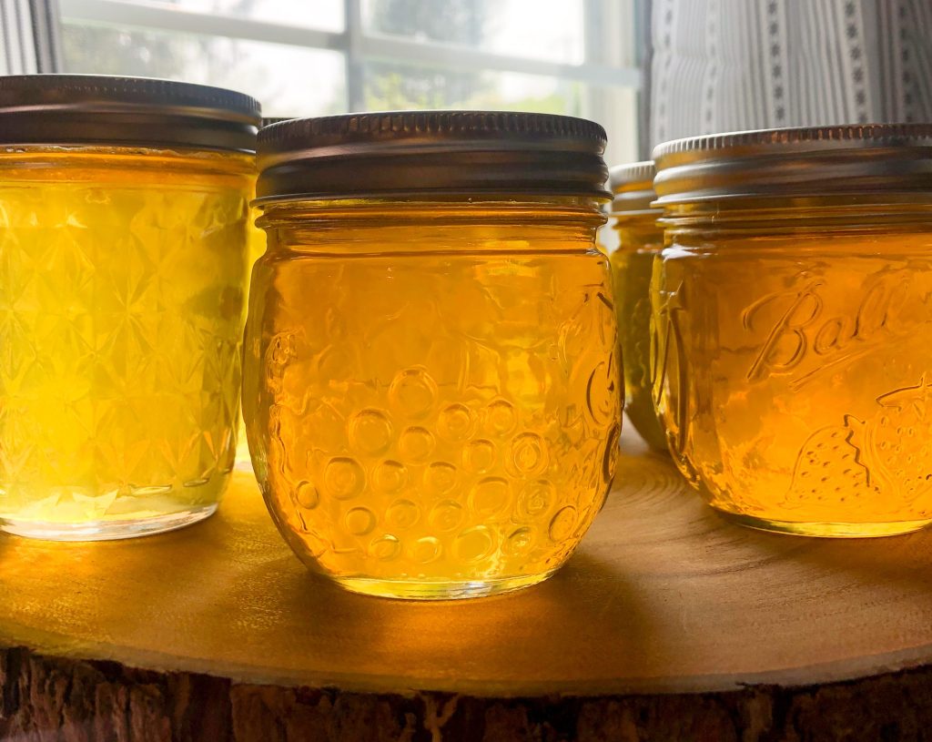 Golden jars of homemade dandelion jelly glowing in sunlight on a rustic wood slap by a farmhouse window