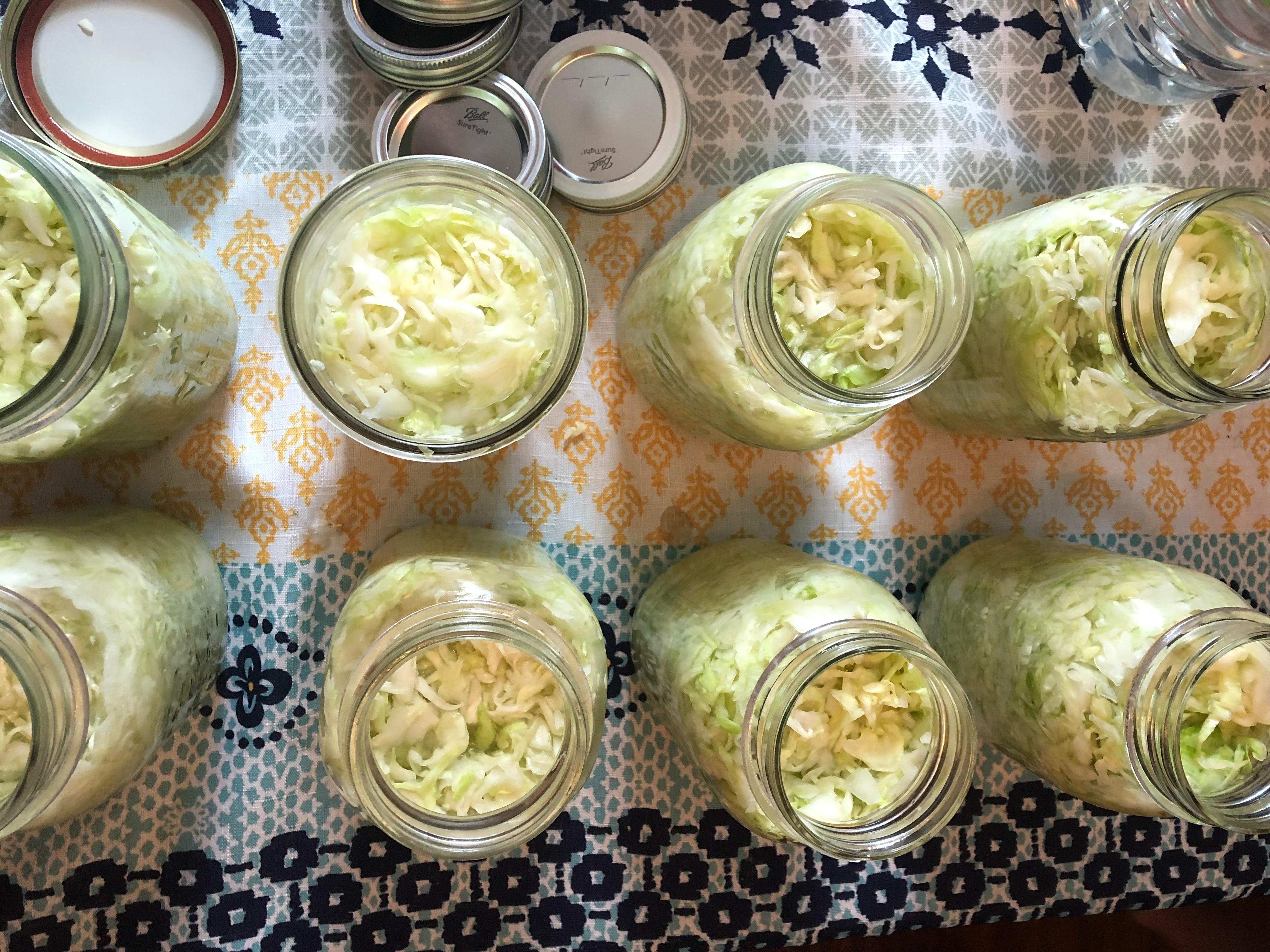 Mason jars filled with freshly shredded cabbage for homemade sauerkraut arranged on a patterned dishcloth